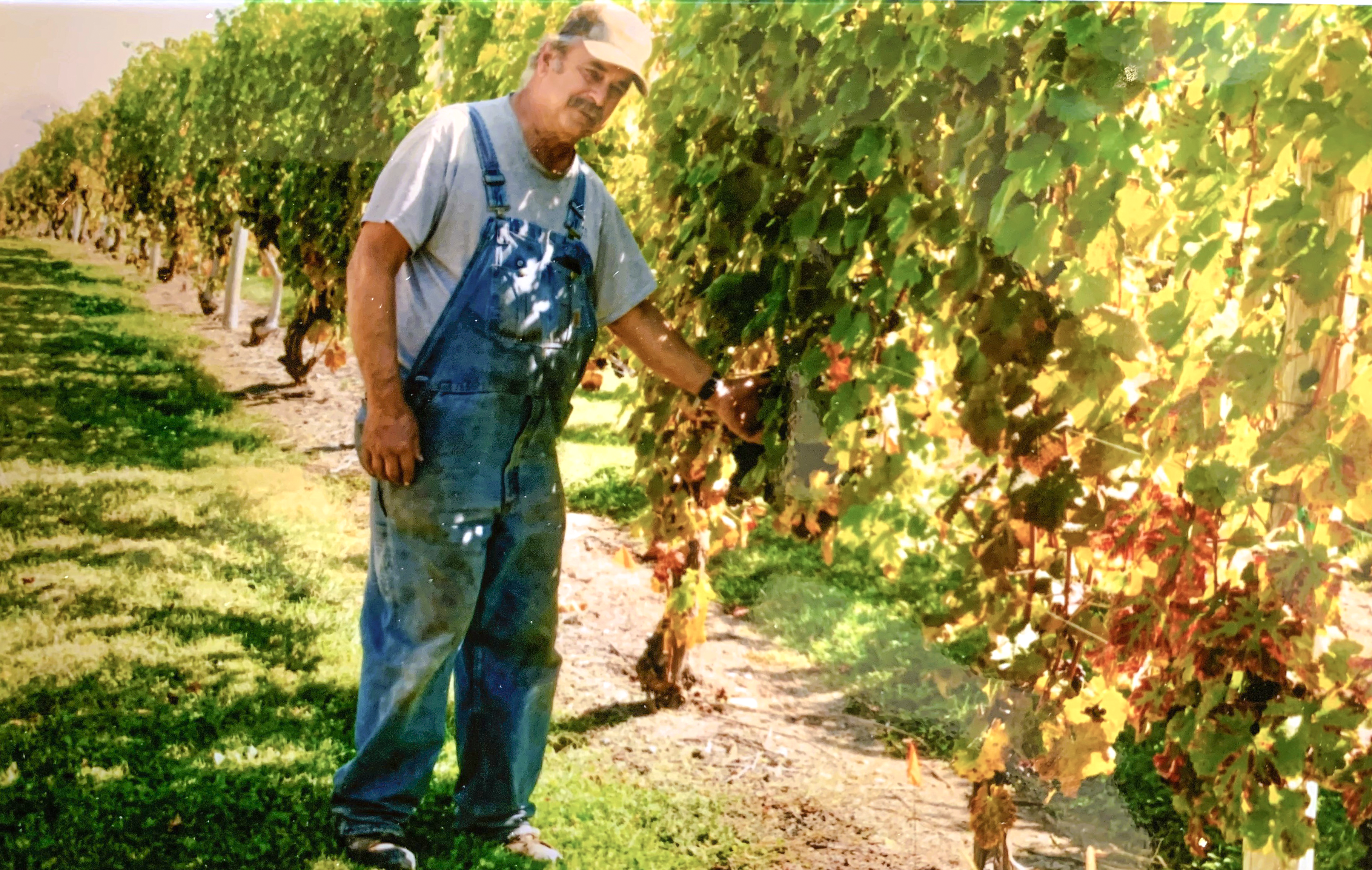 Man with grape vines